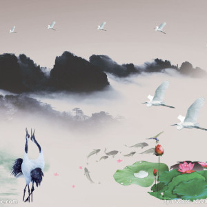 我的相册