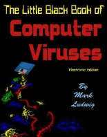 计算机病毒小黑皮书
