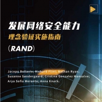 《发展网络安全能力》中文完整版发布