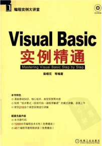 Visual Basic实例精通